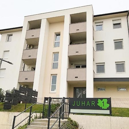 Juhar 1 Apartman Kőszeg Exteriér fotografie